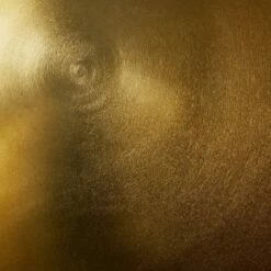 Threshold Designed W/Studio McGee Adjustable Brass Accent Table - Threshold™ designed with Studio McGee -Side Tables Sales unnamed file 1037