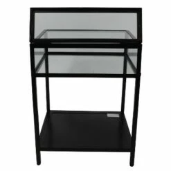 Decor Therapy Claira Glass and Metal End Table Black - Décor Therapy