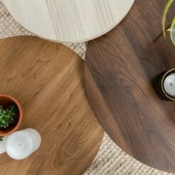 Set of 3 Round Nesting Coffee Tables - Saracina Home Birch -Side Tables Sales unnamed file 8816