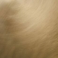 Threshold Designed W/Studio McGee Fielding Pedestal Accent Table - Threshold™ designed with Studio McGee Aged Brass 13 Threshold Designed W/Studio McGee Fielding Pedestal Accent Table - Threshold™ designed with Studio McGee Aged Brass -Side Tables Sales unnamed file 999